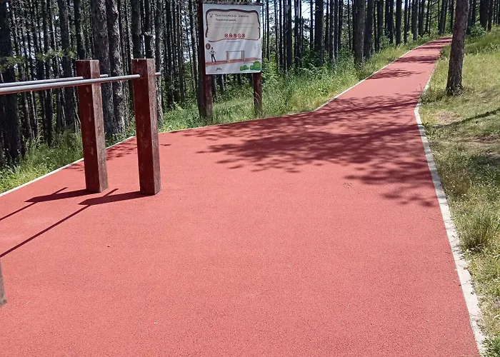 Sd Lux * ズラティボール