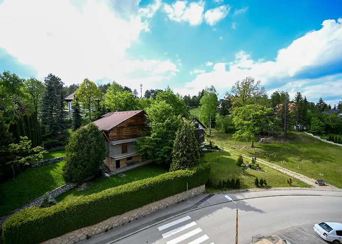 Sd Lux * ズラティボール