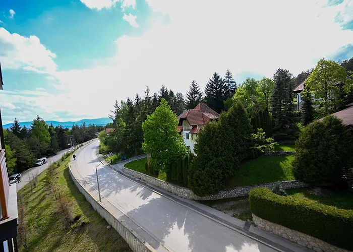 Sd Lux * ズラティボール